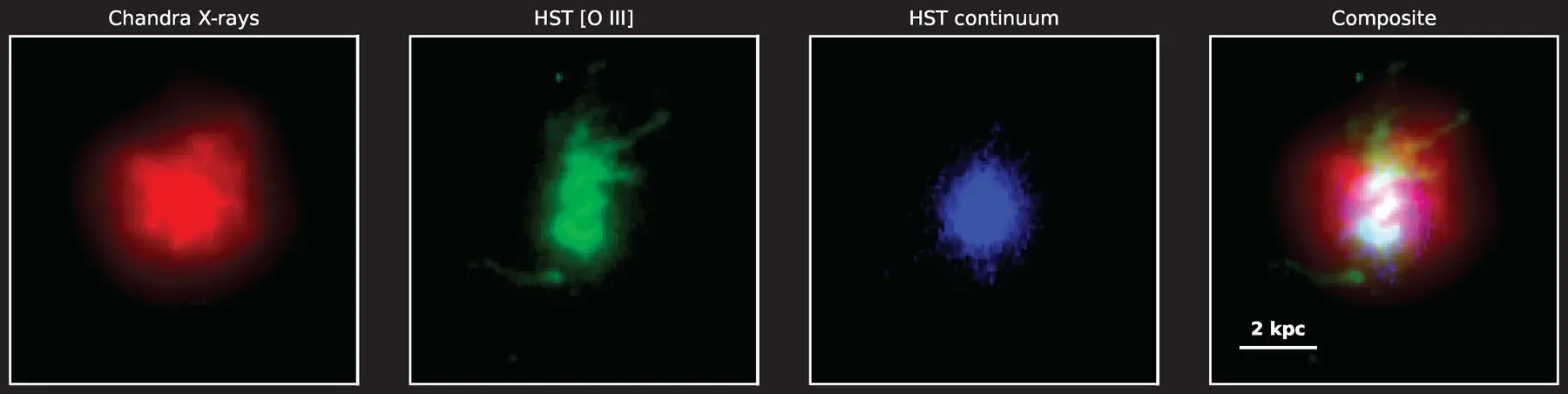 Four-panel observational comparison of 2MASX J13003807+5454367 showing Chandra X-rays in red, Hubble [O III] emission in green, Hubble stellar continuum in blue, and the combined composite with a 2 kpc scale bar.