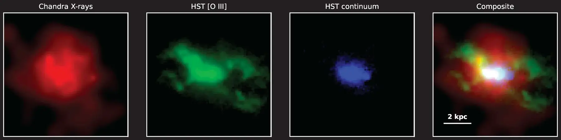 Four-panel observational comparison of FIRST J120041.4+314745 showing Chandra X-rays in red, Hubble [O III] emission in green, Hubble stellar continuum in blue, and the combined composite with a 2 kpc scale bar.