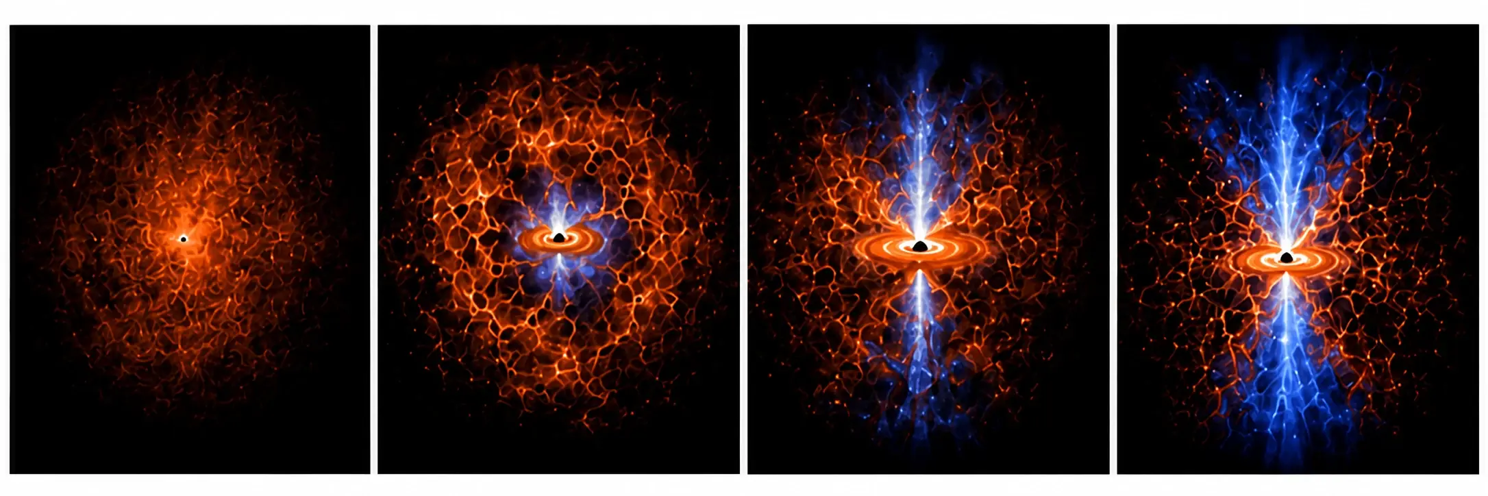 Artist’s four-panel illustration of a proposed quasar-feedback sequence, progressing from a compact obscured configuration to increasingly extended blue outflow structures around an active black hole.