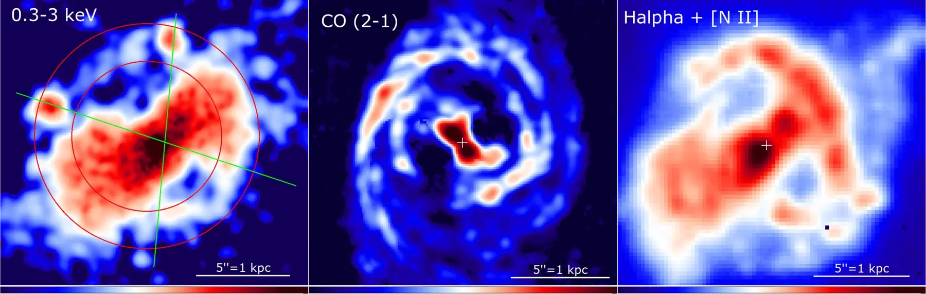 Three-panel processed observational Figure 1 of NGC 5728. Left: an adaptively smoothed 0.3–3 keV Chandra/ACIS-S image with the inner soft X-ray bicone outlined in green and the circumnuclear star-forming ring outlined in red. Center: an ALMA CO(2–1) map showing molecular spiral structure and two emission peaks around the nucleus. Right: a VLT/MUSE H-alpha plus [N II] map showing the approximately 1 kpc star-forming ring. White crosses mark the Chandra X-ray centroid in the center and right panels. Each panel includes a 5 arcsec, approximately 1 kpc scale bar; north is up.