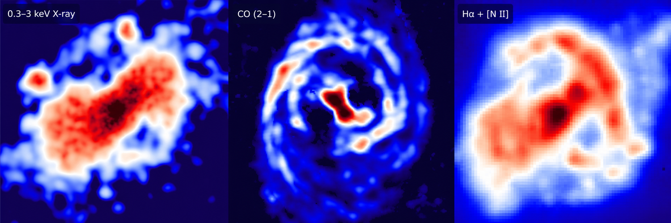 Three processed emission maps shown side by side: Chandra 0.3–3 keV X-rays, ALMA CO (2–1), and VLT/MUSE Hα plus [N II], displayed with a blue-to-red intensity palette.