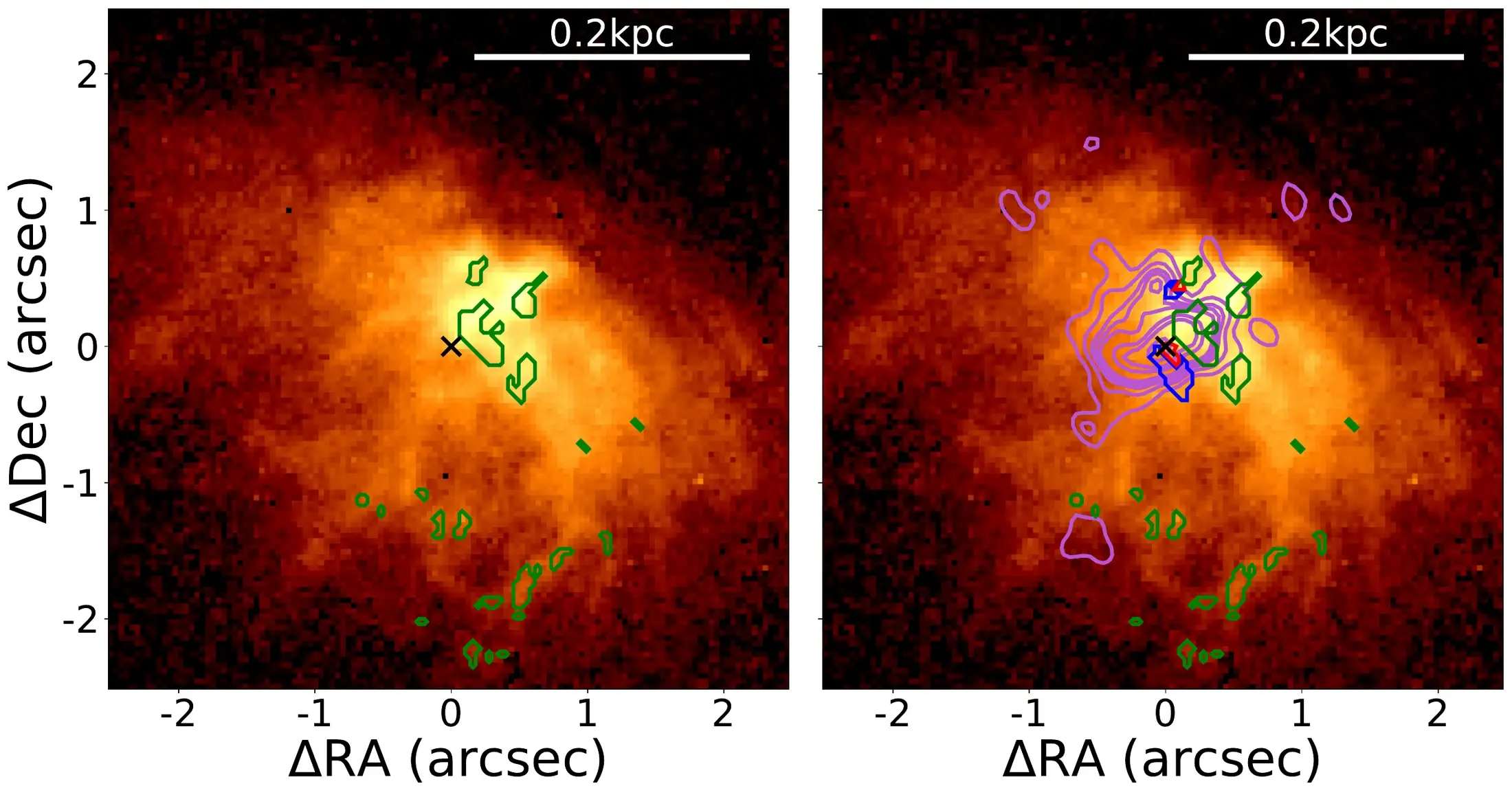 Two-panel processed HST/WFC3 H-alpha image of the inner 500 pc of NGC 5005. Green contours mark H II-like excitation in both panels; the right panel also shows 1.5 GHz eMERLIN radio contours in purple, Seyfert-like contours in red, and analysis-defined cocoon-like contours in blue. A black X marks the optical centroid, and each panel includes a 0.2 kpc scale bar; north is up and east is left.