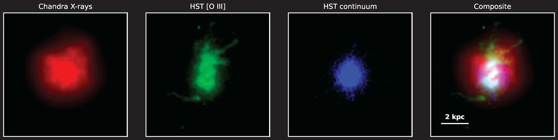 Four-panel observational comparison of 2MASX J13003807+5454367 showing Chandra X-rays in red, Hubble [O III] emission in green, Hubble stellar continuum in blue, and the combined composite with a 2 kpc scale bar.