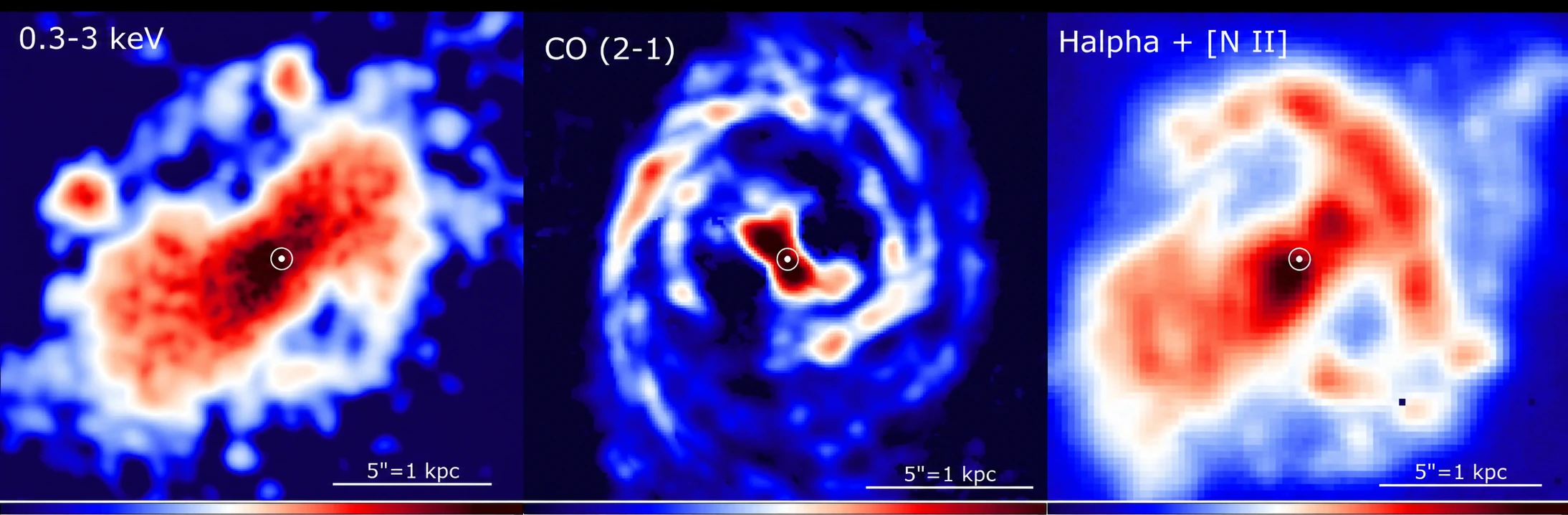 Chandra 0.3-3 keV emission, ALMA CO(2-1) emission, and Hα + [N II] emission trace the multiphase circumnuclear medium of NGC 5728. The bullseye marks the AGN position in each panel.